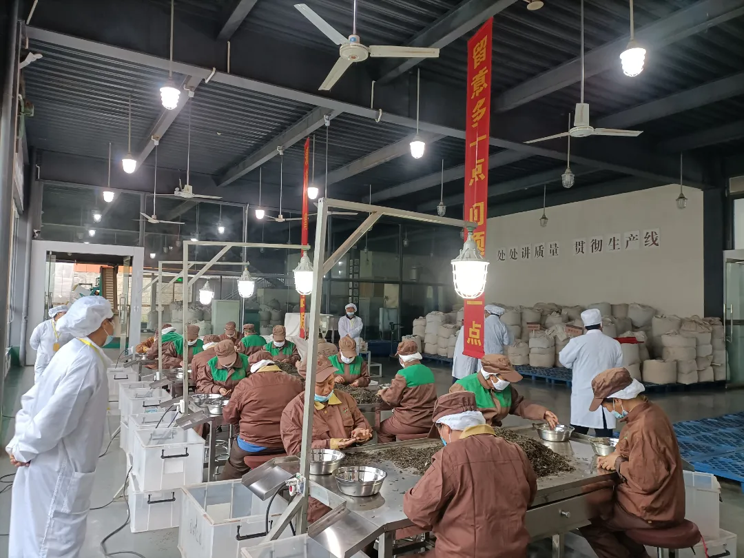 精益求精&middot;鑄造品質(zhì)｜六大茶山第十四屆技術(shù)大比武圓滿完成